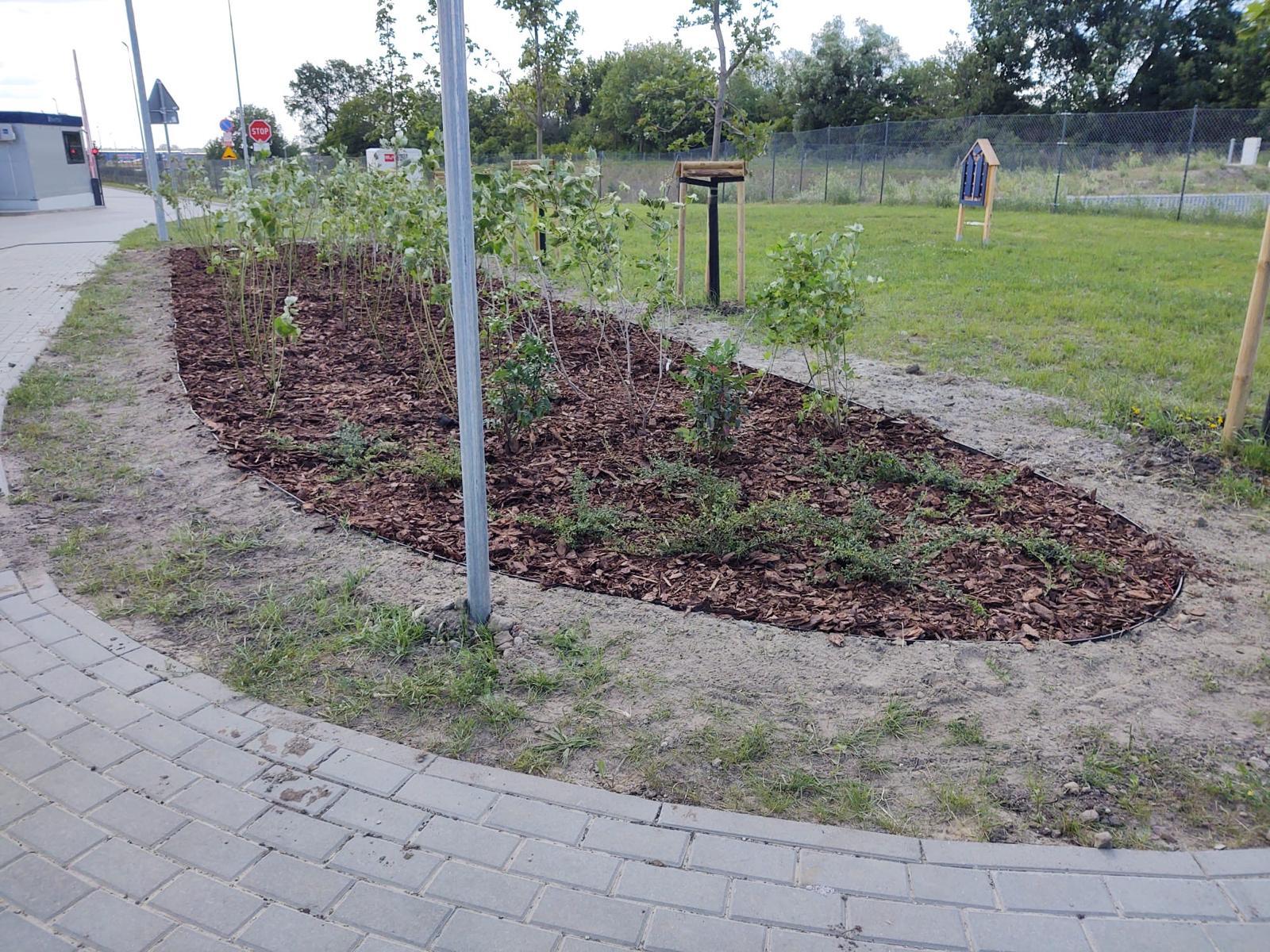 reazlizacja firmy MHM Garden efekt po 2